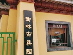-御林古桑园