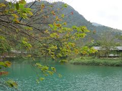 -鼎香皇高佬苏裹蒸粽