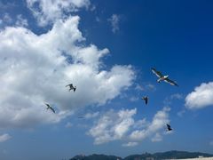 -刘公岛景区