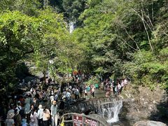 -石台牯牛降景区