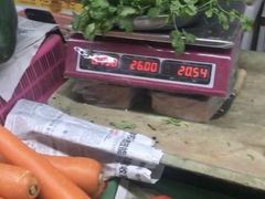 -鸿港海鲜批发市场