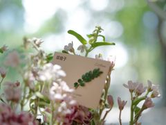 -LilBee Coffee