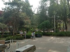 -双榆树公园