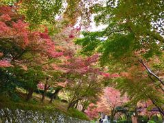 -有栖山 清光院 清水寺
