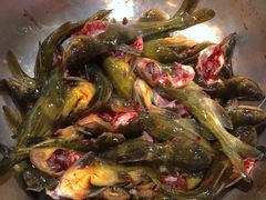 三角峰-肖肖酸萝卜鱼火锅(总店)