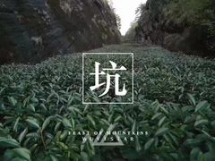 -华祥苑茶馆•国缤茶小蓝罐(普罗旺斯店)