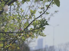 -钱塘江