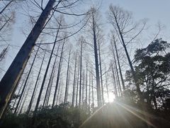 -上海怡沁园度假酒店