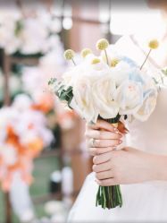 -曼格纳婚礼艺术中心(张江店)