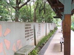 -青枫公园