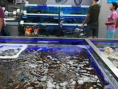 -盒马鲜生(大成店)