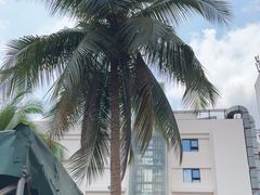-麒麟羊庄酒店内庭院(新风街豪威麒麟店)