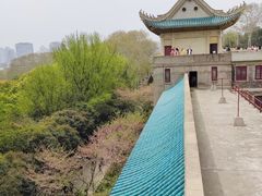 -武汉大学-樱园