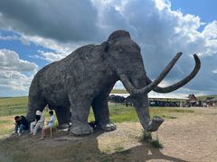 -顶顶汤火牛排火锅·经典铜锅涮肉