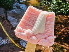 -赤水丹霞旅游区·佛光岩