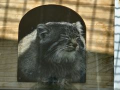 -青藏高原野生动物园
