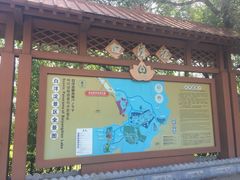 -白洋淀景区