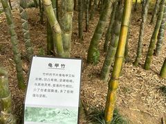 -兰亭风景区
