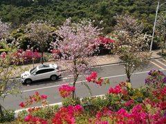 -小南山公园