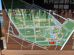 -上海长兴岛郊野公园