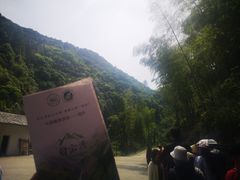 -白云源风景区