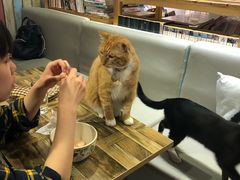 -小时光咖啡馆(开森度假森林店)