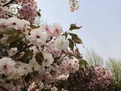 -古柏渡飞黄旅游区