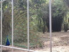 -宁波野生动物园