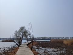 -野鸭湖国家湿地公园