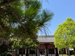 -大慈恩寺(大雁塔)