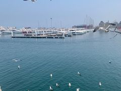 -东港音乐喷泉广场