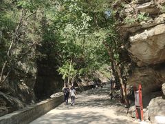 -北京上方山国家森林公园
