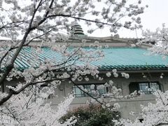 -武汉大学-樱园