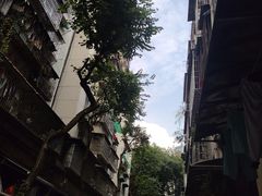 -美嘉华面包西饼店(红胜坊店)