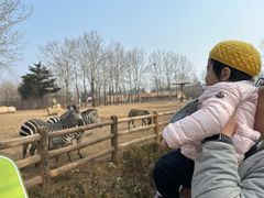 -大连森林动物园