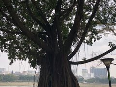 -南宁南湖公园
