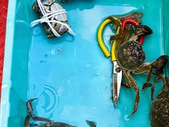 -蟹天蟹地农家菜·阳澄湖大闸蟹(浅水湾店)