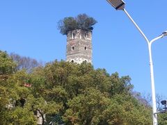 -江心屿景区