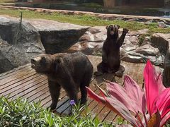 -海南热带野生动植物园