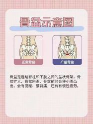 -产后帮产后修复(首城国际店)