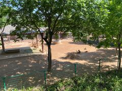 -石家庄市动物园