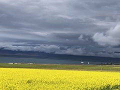 -青海湖国家重点风景名胜区