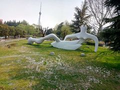 -观唐（国际）度假村温泉