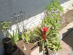 -老绥元烧麦·家常菜(桥华店)