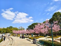 -新江湾城公园