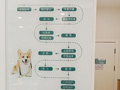 -瑞派康怡24h宠物医院·犬猫医疗中心·微创绝育(瑞景分院)