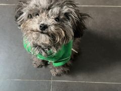 -喵汪宠物生活馆(涞坊路店)