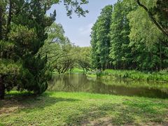 -上海共青森林公园