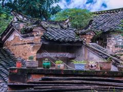 -后柳水乡