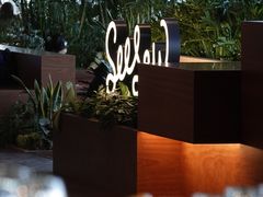 -Seesaw Coffee(朝阳大悦城店)